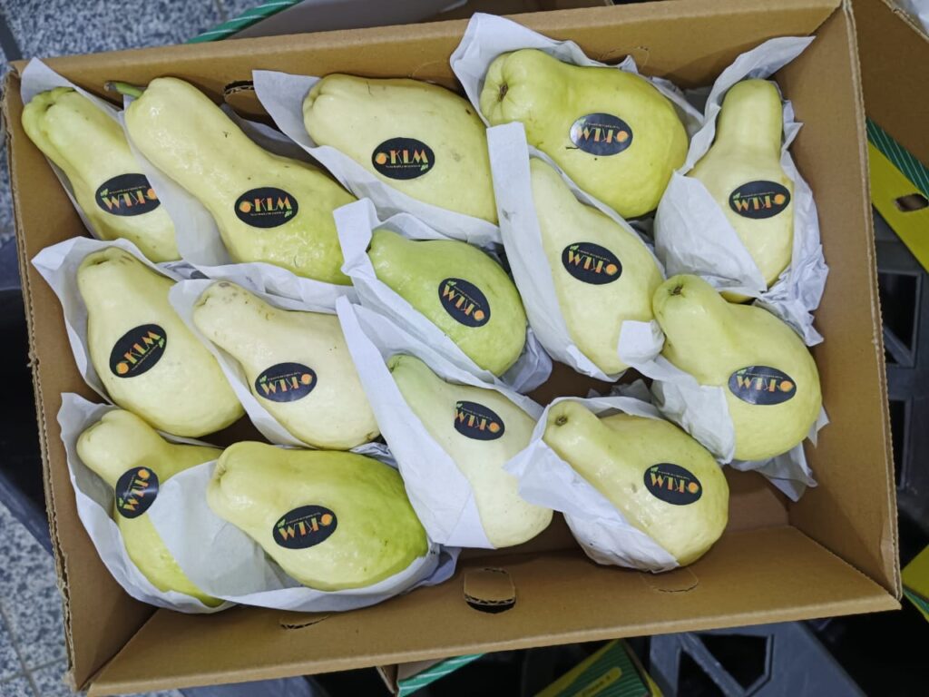 WhatsApp Image 2025-02-12 at 4.16.46 PM