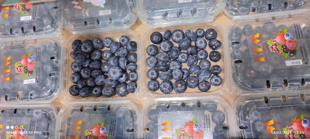 WhatsApp Image 2025-02-18 at 12.44.44 PM(1)